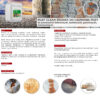 SpecialChem Rust clean do usuwania rdzy